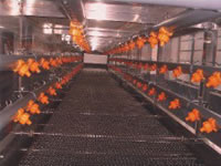 Automatic Spray Coating Production Line, Flat Spray System
