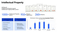 209 Intellectual Property Layout and Intellectual Property Risk Control
